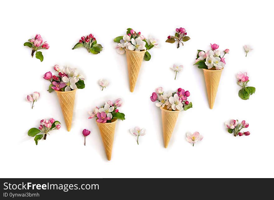 Waffle cone with beautiful flowers apple tree on a white background. Texture. Top view, flat lay