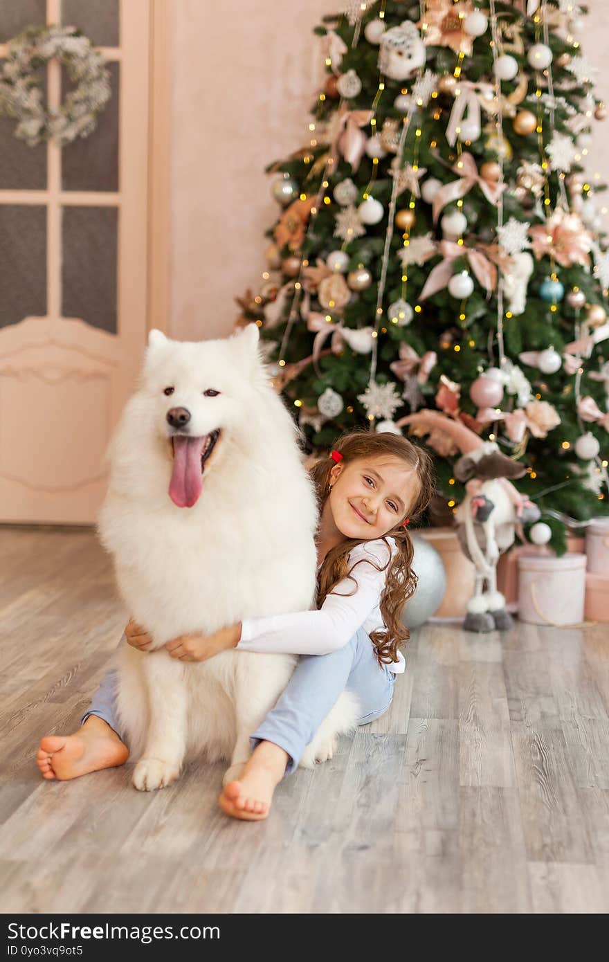 Christmas Child girl hug dog Samoyed. Christmas, winter and people concept. Christmas greeting card. Happy New Year. New Year at home. Christmas Child girl hug dog Samoyed. Christmas, winter and people concept. Christmas greeting card. Happy New Year. New Year at home