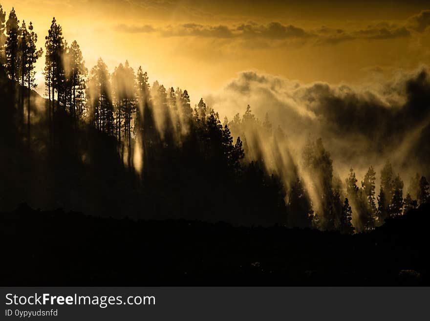 Colorful Scenic Landscape Of Moon Rise In Tenerife National Park Of Teide.