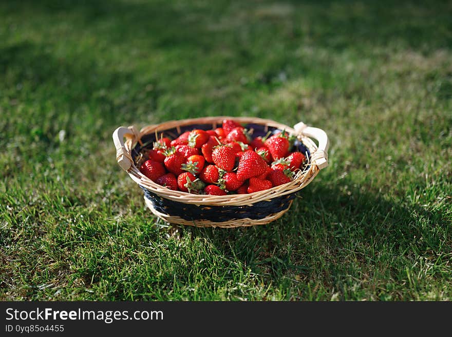 Strawberries Basket On Green Lawn Background