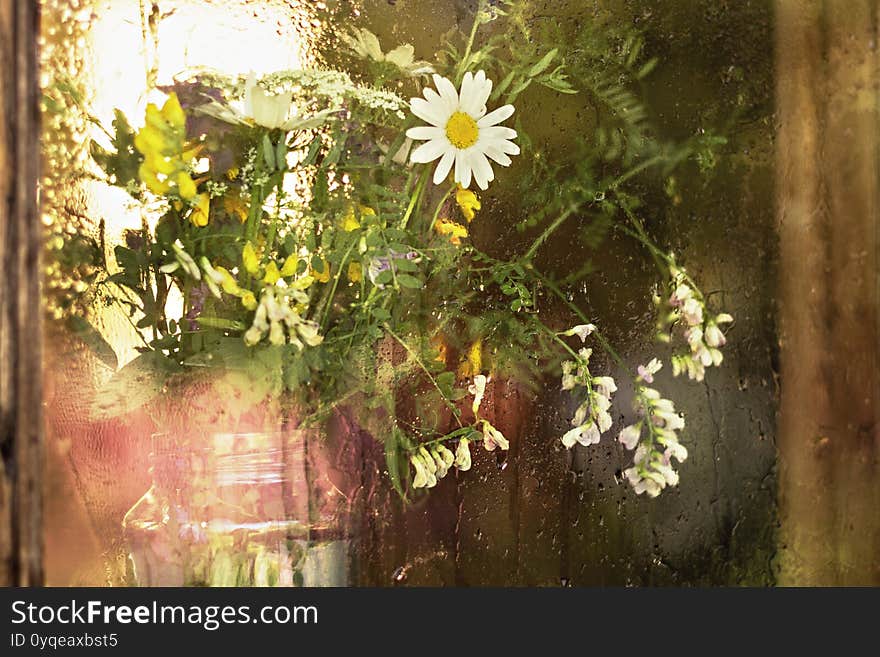 Vase with a bouquet of wild flowers through the wet window glass at sunset. Autumn season