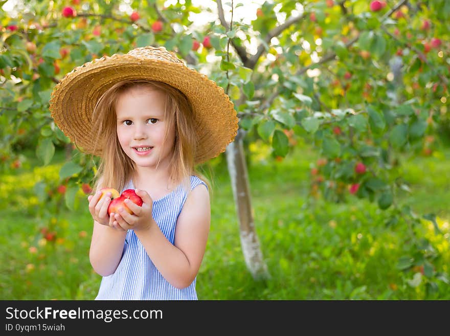 Portrait of children in an apple orchard. Little girl in a straw hat and blue striped dress, holding apples in her hands