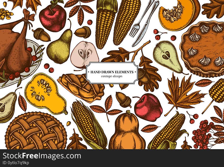 Colored elements design with pumpkin, fork, knife, pears, turkey, pumpkin pie, apple pie, corn, apples, rowan, maple