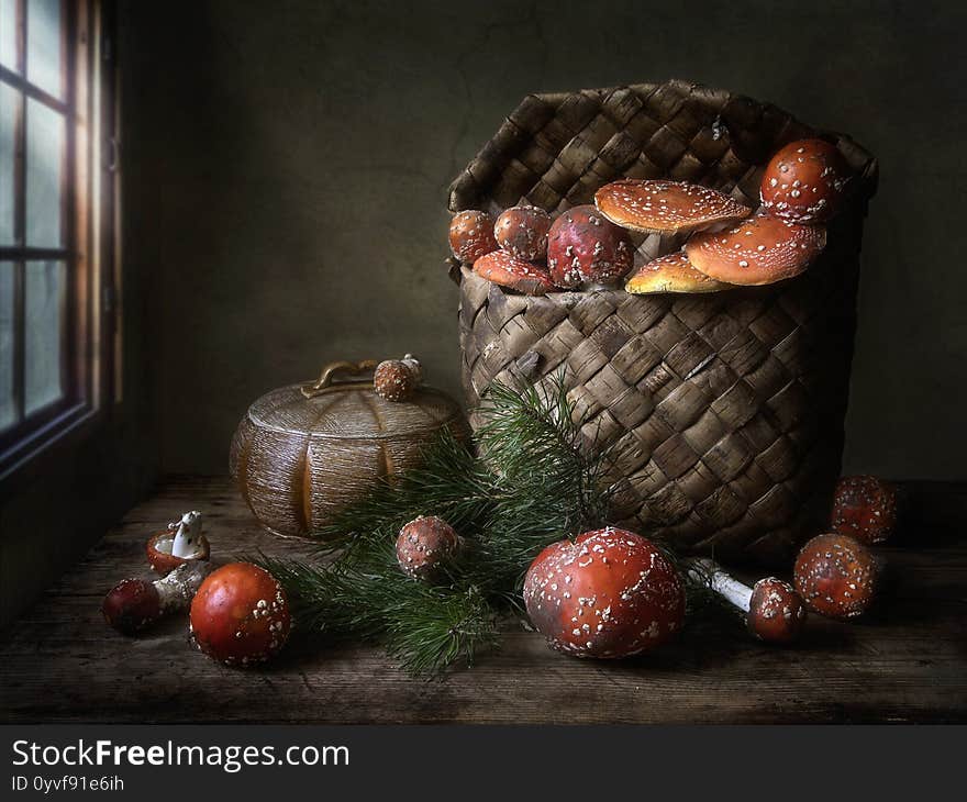 Still life with forest poisonous mushrooms