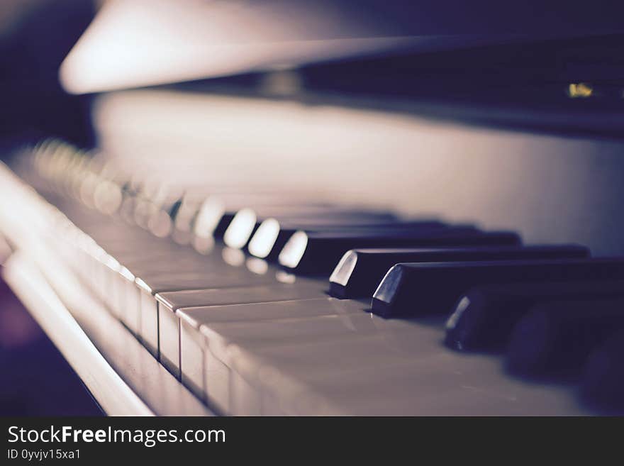 Close-up of a keyboard with black and white keys