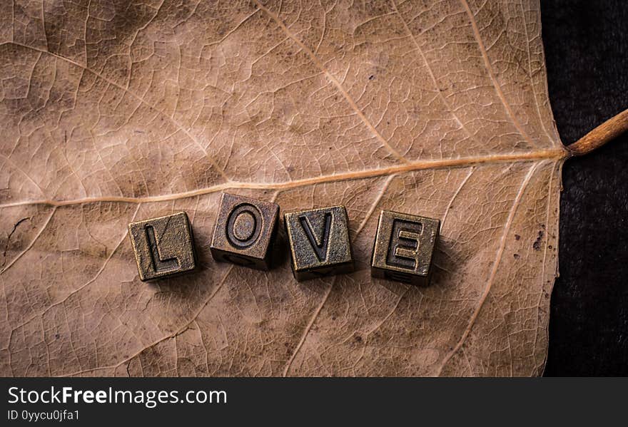 The word love with metal letters  on dry leaf