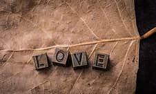 The Word Love With Metal Letters  On Dry Leaf Stock Photography