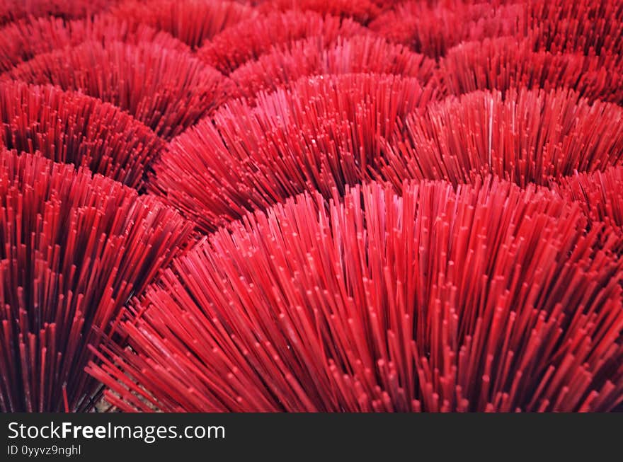 Top view of the red incense stick ,Selective focus