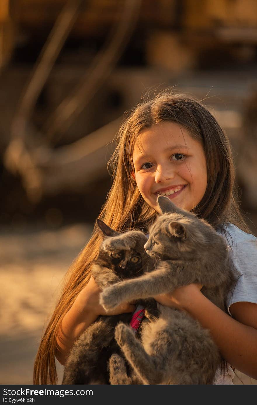 Portrait Of Adorable Child With Kitten. Baby Girl Holding Hands A Kitten In The Light Of Sunset, Pet, Friend, Lifestyle