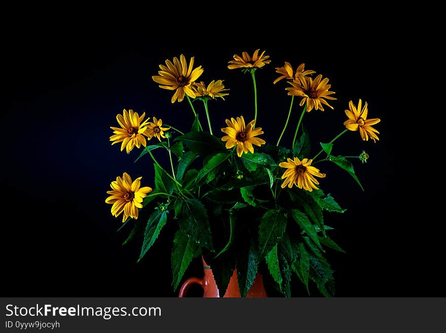 Bouquet Of Yellow Flowers On A Black Background1