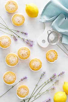 Lemon Muffins With Sugar Powder Royalty Free Stock Image