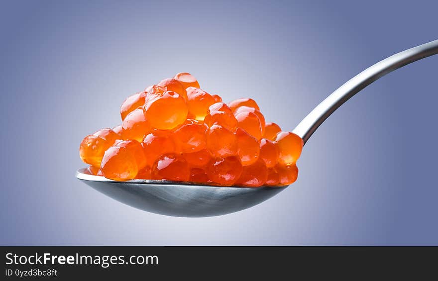 Salmon Red Caviar on a spoon. Fish caviar. Raw seafood. Luxury delicacy food.