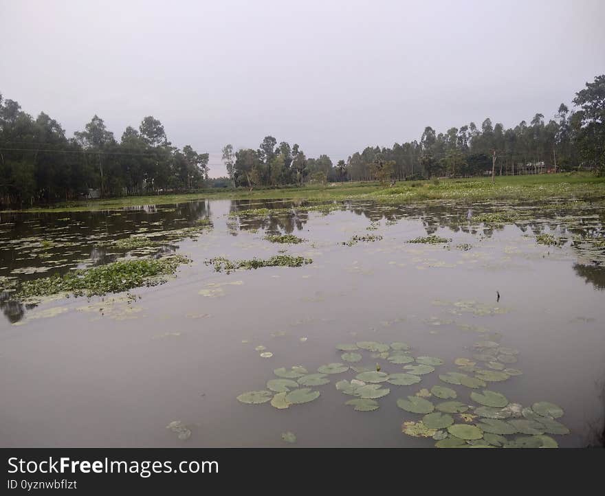 A POND FULL FLOW IN WATER