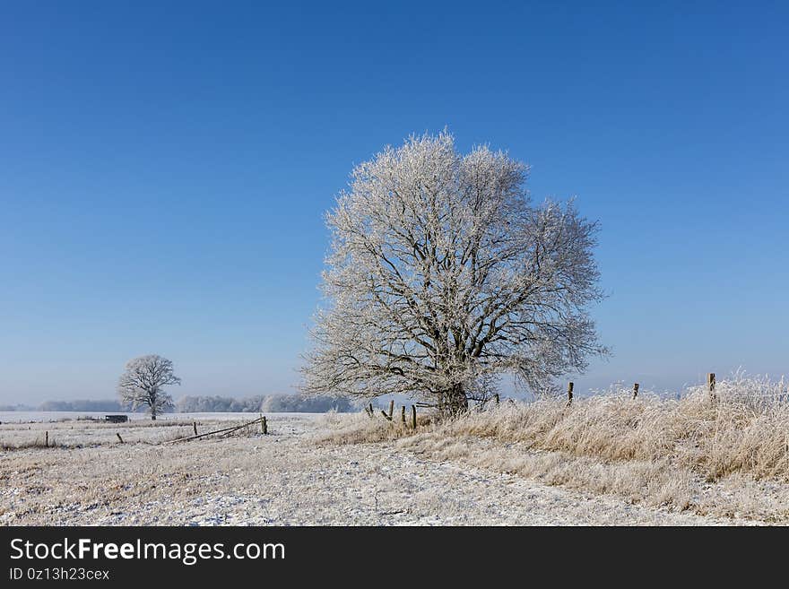 Winter Idyll In The North Of Germany