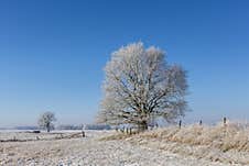 Winter Idyll In The North Of Germany Royalty Free Stock Photos