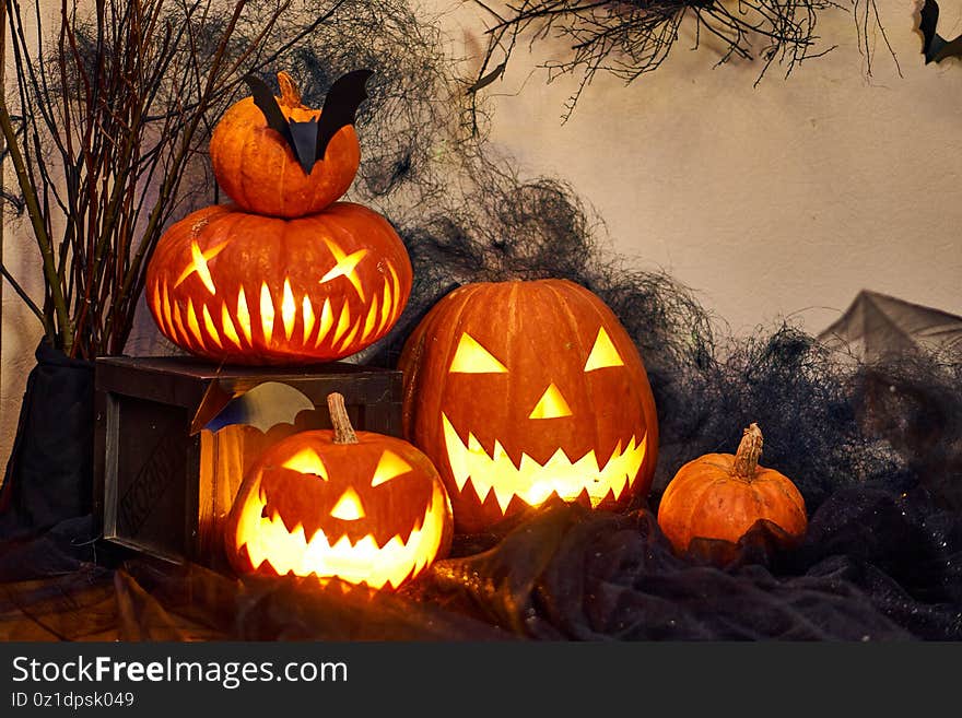 Halloween composition of burning pumpkin with bat. Cobwebs branches atmosphere