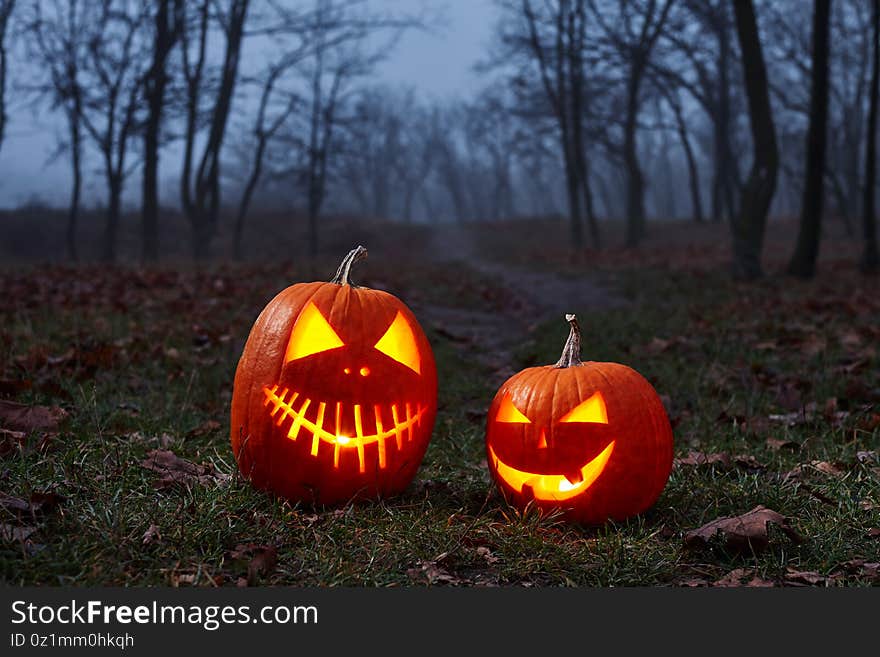 Halloween pumpkins burning in forest at night