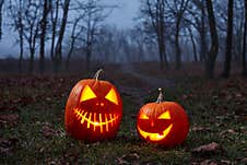 Halloween Pumpkins Burning In Forest At Night Royalty Free Stock Photo