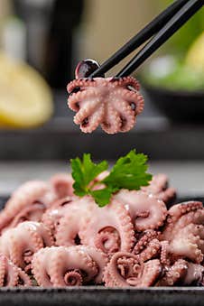 Traditional Japanese Or Seafood Concept. Delicious And Healthy Boiled Mini Octopus And Wakame Or Seaweed Salad With Soy Royalty Free Stock Photo