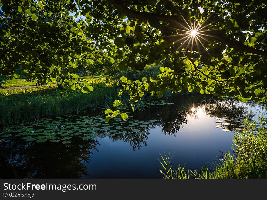 View of the small arched bridge in the backyard garden with the reflection of summer sun in the lake pond. View of the small arched bridge in the backyard garden with the reflection of summer sun in the lake pond