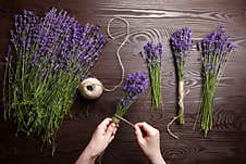 Florist At Work - Woman Making Lavender Bouquets On Wooden Background Stock Photo