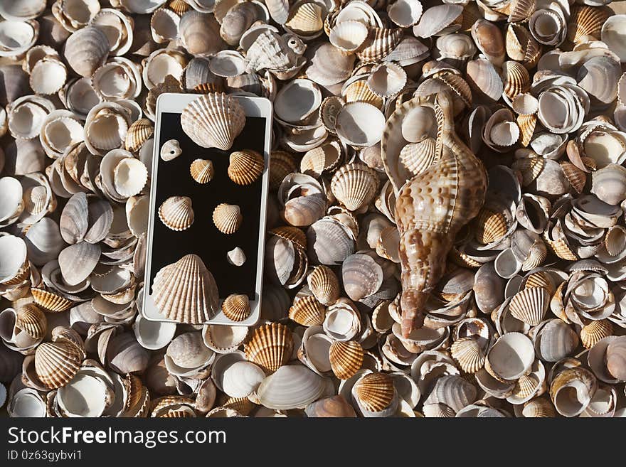 Seashell background with smart phone