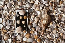 Seashell Background With Smart Phone Royalty Free Stock Photography