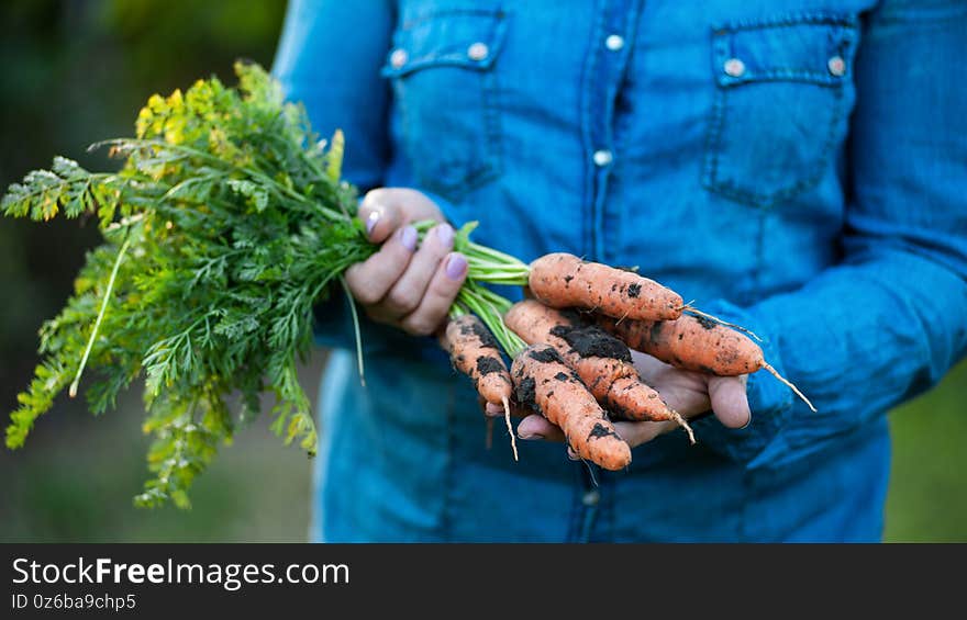 A woman is holding a fresh carrot with tops