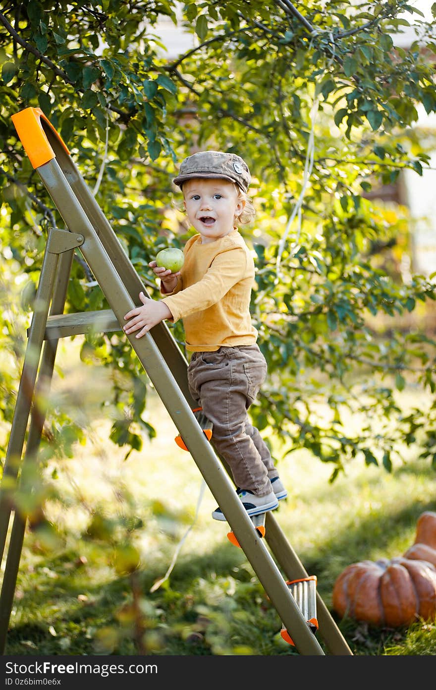 Little boy on the stairs in the garden