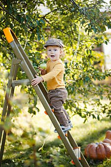 Little Boy On The Stairs In The Garden Royalty Free Stock Image