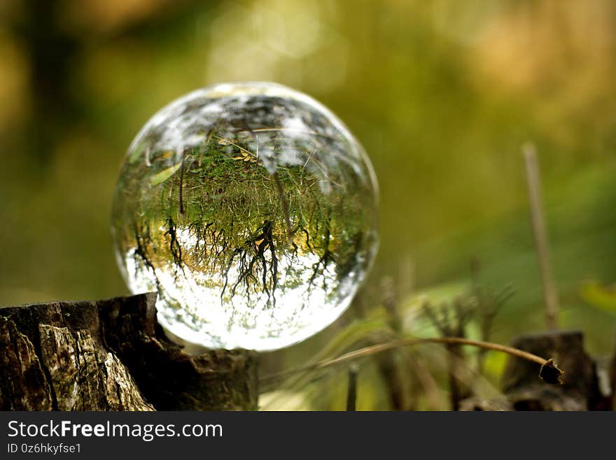 A lens ball in nature. Forest view through the glass ball in blur.