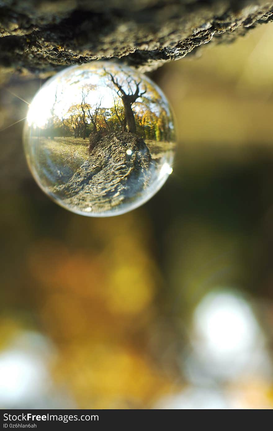 A lens ball in nature. Forest view through the glass ball in blur.