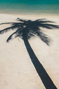 Palm Tree Shadow On Beach Sand On A Shore Of Indian Ocean Stock Photography