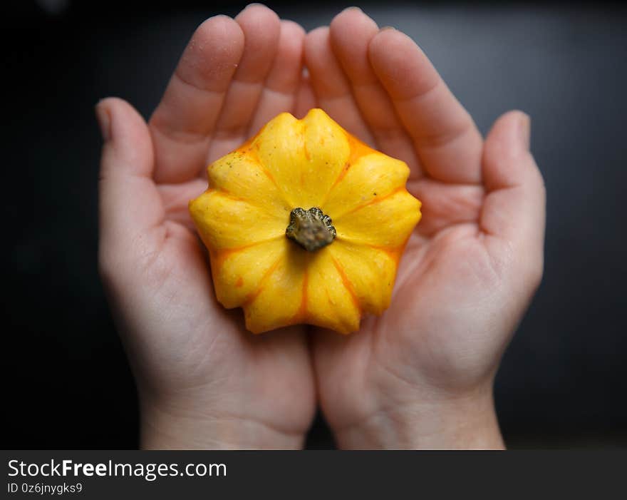 Yellow small flower-shaped pumpkin on the palms of a child