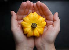 Yellow Small Flower-shaped Pumpkin On The Palms Of A Child Stock Image