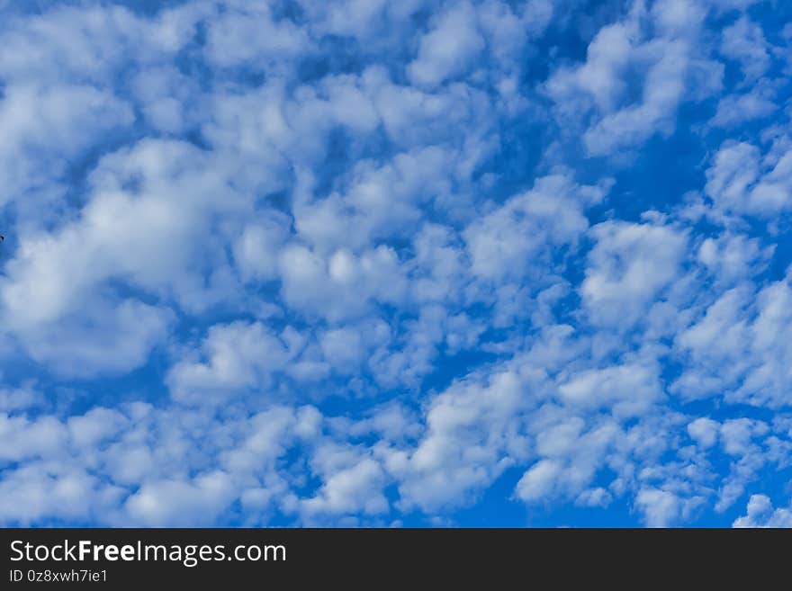 Beautiful blue skies with white cumulus clouds