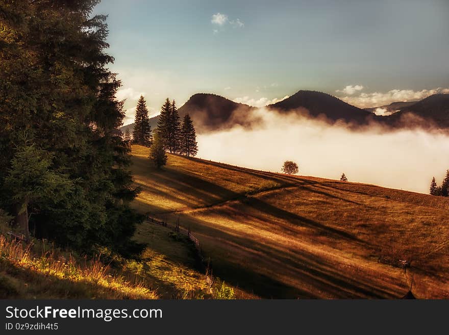 Early morning in the mountains. The slopes of green mountains, pine trees