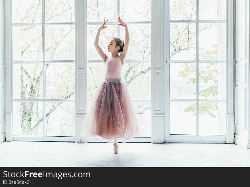 Young Ballet Dancer In Dance Class