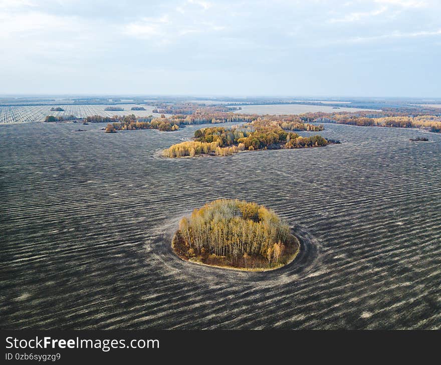 Autumn bushes and trees in the plowed field. View from above