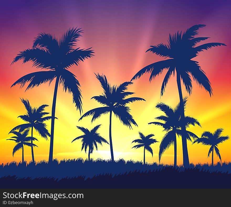 Tropical trees silhouettes on sunset. Beautiful landscape of resort with dark palms on sundown, vector illustration background of paradise travelling in island