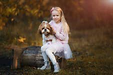 A Cute Girl Hugs A Shih Tzu Dog In The Autumn Forest. A Girl Walks With A Dog In An Autumn Park Royalty Free Stock Photos