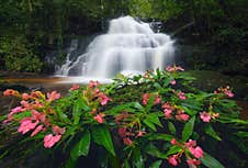 Man Dang Waterfall. Nature Landscape Of Phetchabun District In Natural Area. It Is Located In Thailand For Travel Trip On Holiday Stock Image