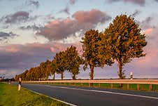 Picturesque Road With A Row Of Trees In An Autumn Robe In The Rays Of The Setting Sun Royalty Free Stock Photo