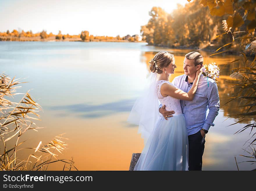 Newlyweds Are Stand On The Shore Of A Picturesque Lake