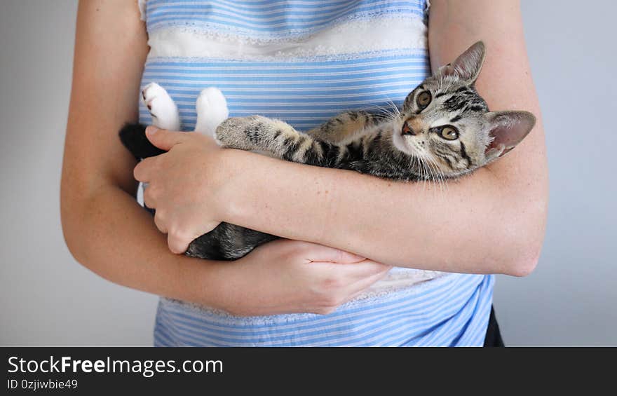 Closeup shot of a person holding a cute domestic cat