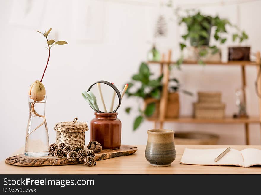 Stylish interior of home office space with wooden desk, forest accessories, avocado plant, bamboo shelf, plants.