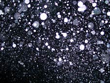 Illuminated Sparkling Falling Snow At Night Stock Image