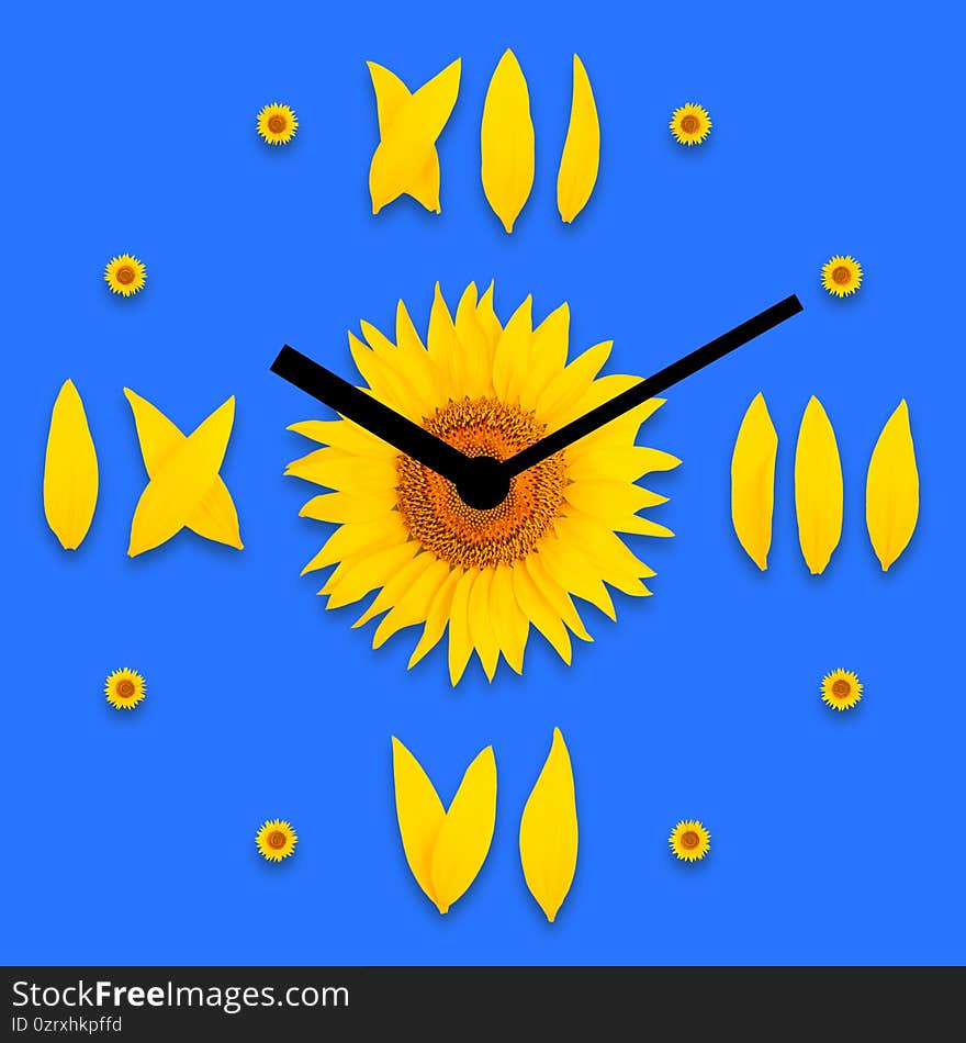 Dial with arrows of sunflowers on a blue background