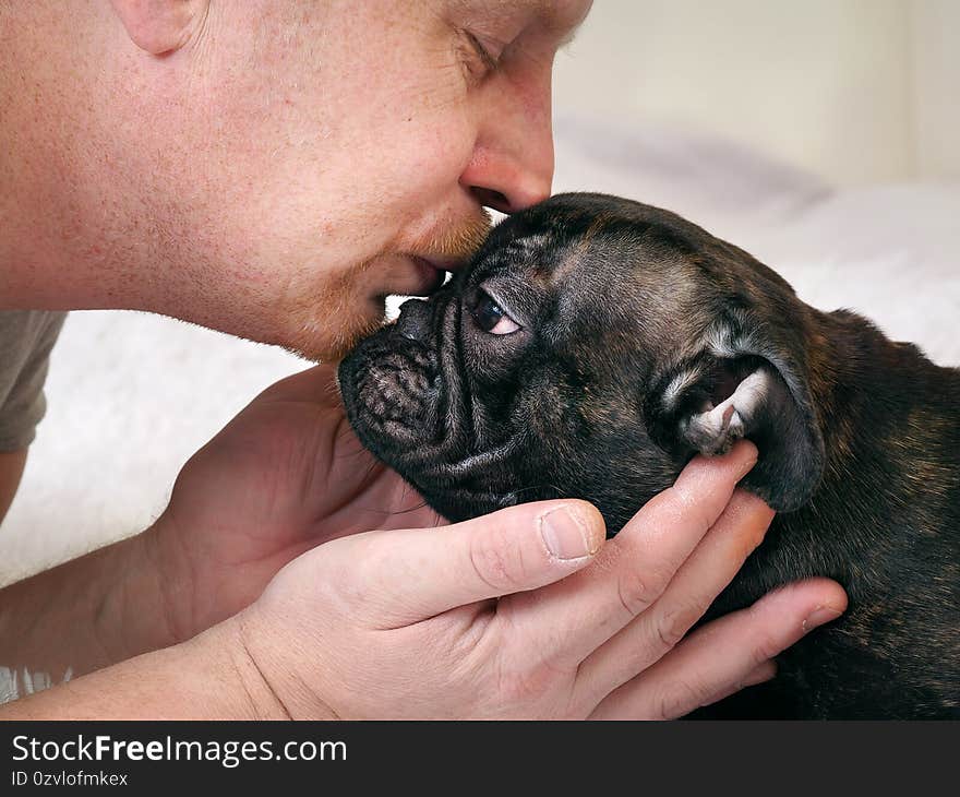 Man kisses a dog. French bulldog, black. Owner and animal