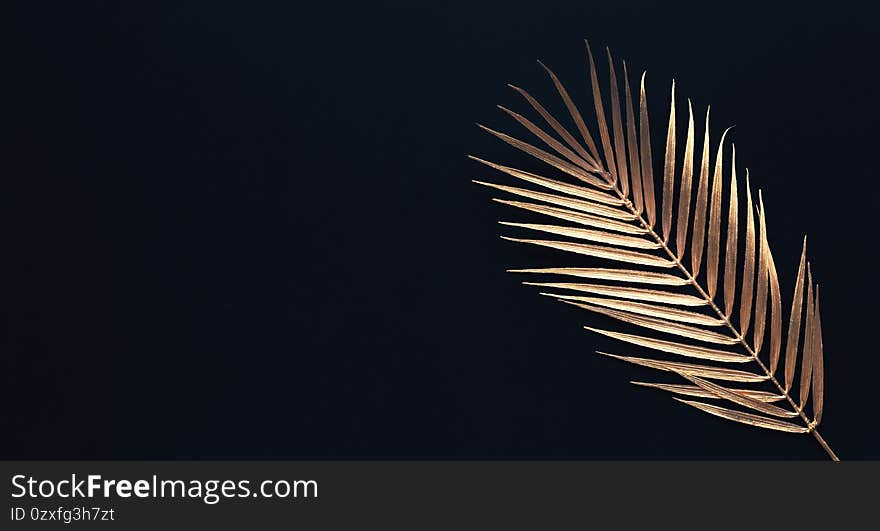 Collection of tropical leaves in gold color on black space background.Abstract leaf decoration design